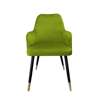 Olive upholstered PEGAZ chair material BL-75 with golden leg