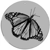 Magic Disc - CineSpinner Butterfly 3,5'